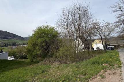 Grundstück zu verkaufen in Miltenberg 200.000,00 € 1200 m²