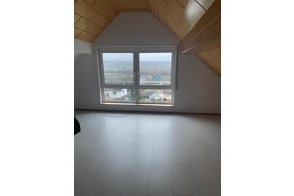 Helle 2 ZKB Wohnung mit traumhaftem Fernblick - Ober-Olm