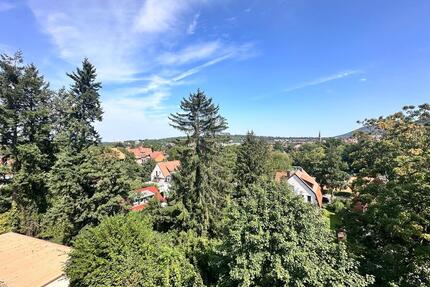 Traumhafte 2-Zimmer Wohnung in Zentrumsnähe von Bad Harzburg