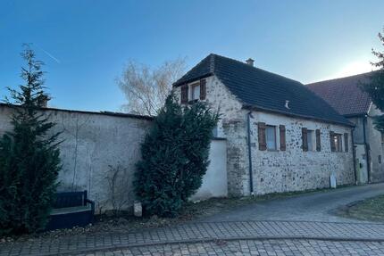 Einfamilienhaus - 200.000,00&nbsp;EUR Kaufpreis, ca.&nbsp; 100,00&nbsp;m&sup2; in Wettin-Löbejün (PLZ: 06193)