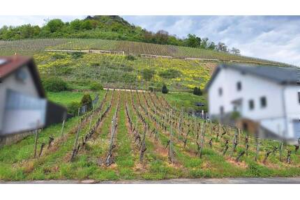 933 m² Baugrundstück - Südlage in 53474 Heppingen