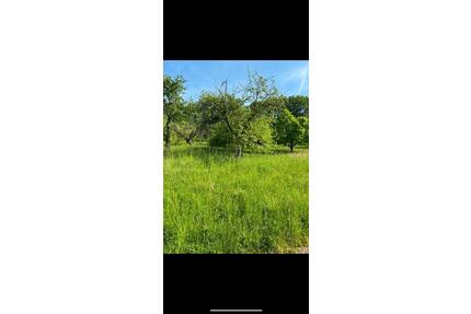 Garten Grundstück - 3.300,00&nbsp;EUR Kaltmiete, ca.&nbsp; 0,00&nbsp;m&sup2; in Backnang (PLZ: 71522)