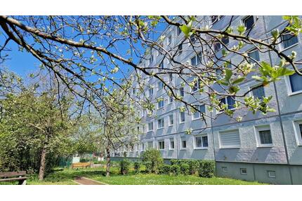 Drei-Raum-Wohnung mit herrlichem Ausblick - Halle (Saale) Gesundbrunnen