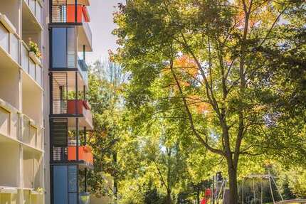 Wohnung zum Mieten in Freiberg 343,00 € 49 m²