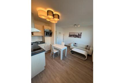 Möbilieres 2 Zi. Apt. München Schwanthalerhöhe ab 1.5.2026