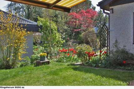 Haus zum Kaufen in Waldbronn 695.000,00 € 212 m²