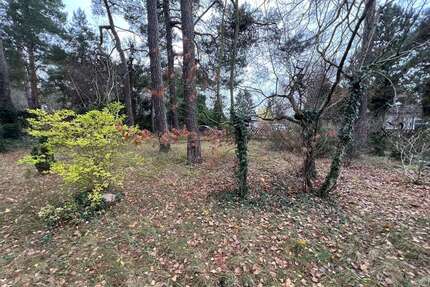 Grundstück zu verkaufen in Blankenfelde-Mahlow 220.000,00 € 836 m²