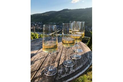 Ferienhaus an der Mosel für 6 - 10 Personen ab 230€ÜN - Reil