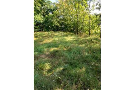 Freizeitgrundstück, Waldgrundstück,Wiesengrundstück - Andernach