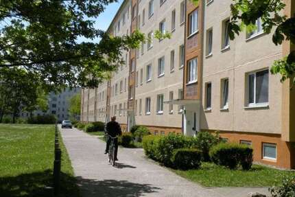 Wohnung zum Mieten in Stralsund 288,64 € 43.08 m²