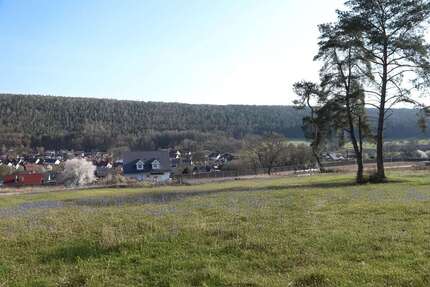 Grundstück zu verkaufen in Lohr am Main 177.920,00 € 556 m²