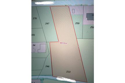 LandwirtschaftlichePferde Wiese (4400m2) zu vermieten - Hünxe