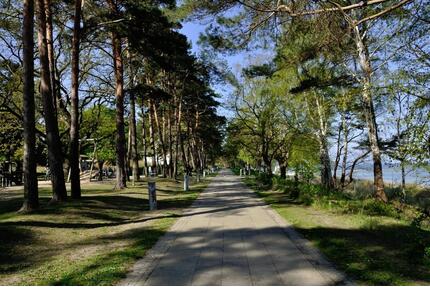 OSTERN AN DER OSTSEE, FERIENWOHNUNG MIT GARTEN FÜR HUNDEFREUNDE - Lubmin