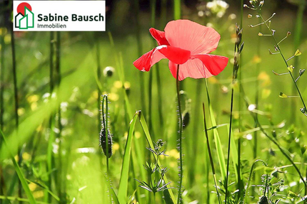 Grundstück zu verkaufen in Wunsiedel 6.000,00 € 2250 m²