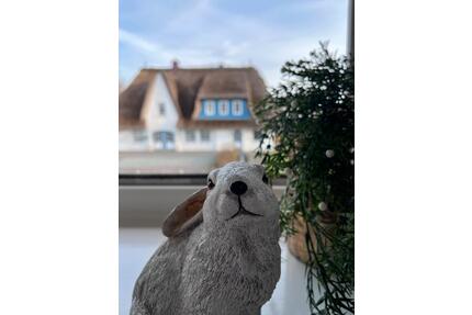 Wohnung unter Reet - Nieblum - 285.000,00&nbsp;EUR Kaufpreis, ca.&nbsp; 46,00&nbsp;m&sup2; in Wyk Auf Föhr (PLZ: 25938)