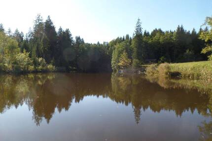 Kleiner See bei Dießen am Ammersee