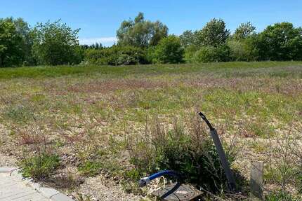 Grundstück zu verkaufen in Schwaan 137.000,00 € 1055 m²