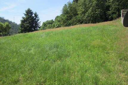 Grundstück zu verkaufen in Thallichtenberg 88.000,00 € 2010 m²