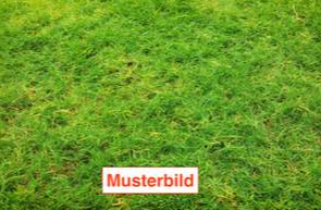 Grundstück zu verkaufen in München 1.650.000,00 € 680 m²