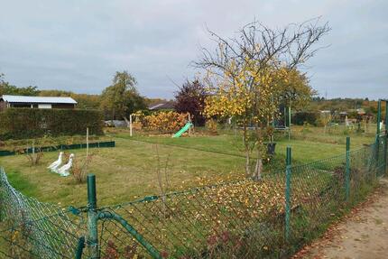 Gepflegter Kleingarten mit renovierter Laube abzugeben - Lüneburg Ebensberg