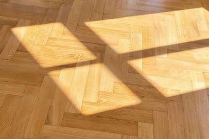 Wohnung zum Mieten in Dresden 1.699,00 € 147 m²