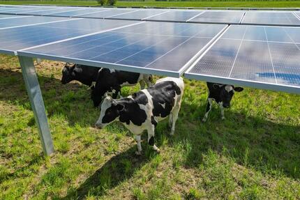 Agri-PV: Ihre Felder verpachten – Einnahmen steigern ohne Aufwand! - Mühldorf am Inn