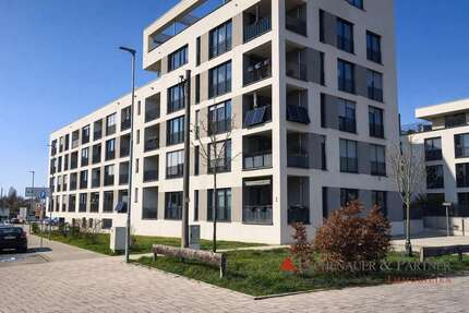 Wohnung zum Kaufen in Ladenburg 385.000,00 € 70 m²
