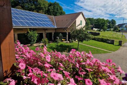 Pferdehof in 55765 Elchweiler zu verkaufen - Birkenfeld