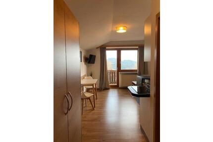 2 Zimmerapartment - 550,00&nbsp;EUR Kaltmiete, ca.&nbsp; 30,00&nbsp;m&sup2; in Traitsching (PLZ: 93455)