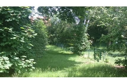 Gepflegtes Britenhaus mit Garten in Münster-Gremmendorf