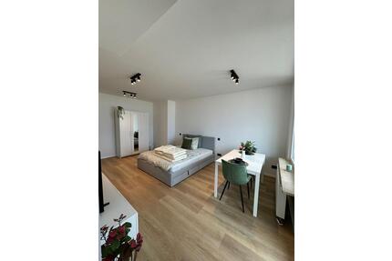 Stilvolles 1-Zimmer-Apartment in Nürnberg