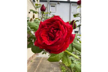 großzügige 3 12 Zimmerwohnung mit Küche und Bad in Schramberg