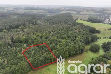 Grundstück in Gera Frankenthal 9.900,00 € 7513 m² - Gera / Frankenthal