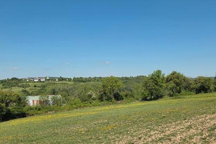 Landwirtschaftsflächen - 1.600,00&nbsp;EUR Kaltmiete, ca.&nbsp; 0,00&nbsp;m&sup2; in Merzig (PLZ: 66663)