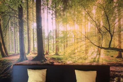 Urlaub Harz - 46,00&nbsp;EUR Kaltmiete, in Bad Grund (Harz) (PLZ: 37539)