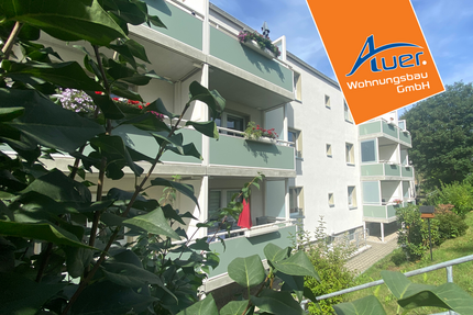 Wohnung zum Mieten in Aue-Bad Schlema 293,65 € 51.07 m²