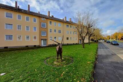 Wohnung zum Mieten in Minden 649,00 € 33.91 m²