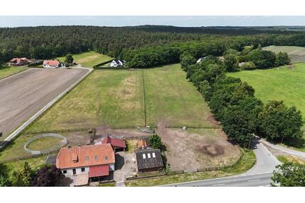 PREISSENKUNG ! Resthof mit Weidefläche und Nebengebäuden ohne Mak - Wagenfeld