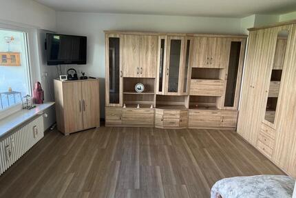 Einzimmerwohnung 52 qm möbiliert in Neckargemünd zu vermieten - Eppelheim
