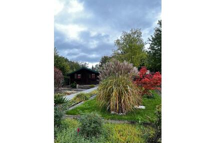 Kleingärten nahe Löbauer Berg und Stadion