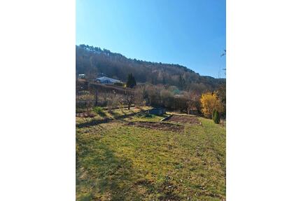 PachtgartenKleingarten - 1.600,00&nbsp;EUR Kaltmiete, ca.&nbsp; 0,00&nbsp;m&sup2; in Arnstadt (PLZ: 99310)