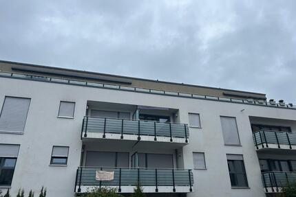 Lichtdurchflutetes Penthouse in Offenbach - komplett renoviert - Offenbach am Main Bieber