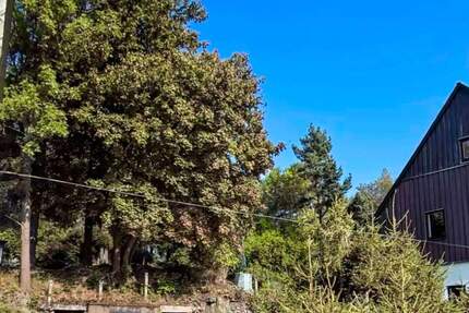 Grundstück für Ihr Ein- oder Mehrfamilienhaus in zentraler Lage von Altenberg