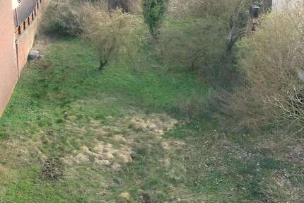 Grundstück zu verkaufen in Porta Westfalica 70.000,00 € 779 m²