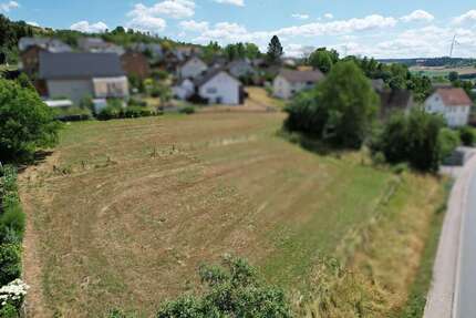 Grundstück zu verkaufen in Höxter 49.500,00 € 1100 m²