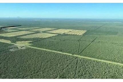 Investitionsoase im Herzen Südamerikas: 12500 Ha. - Germering