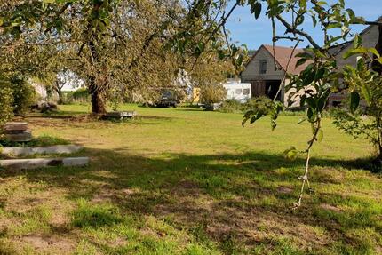 Bauernhof, Scheune und großer Garten - Weilburg