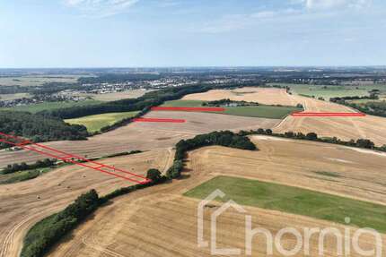 Grundstück in Grevesmühlen 89.900,00 € 30519 m²