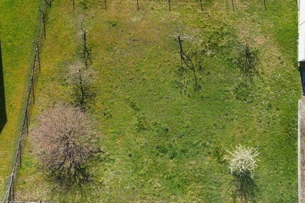Rarität in Eberstadt - Großzügiges Baugrundstück ohne Bauzwang & provisionsfrei!