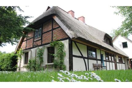 Ferienhaus nahe Stralsund bis 6 Pers.+Hunde, Mai-Sept - Wittenhagen